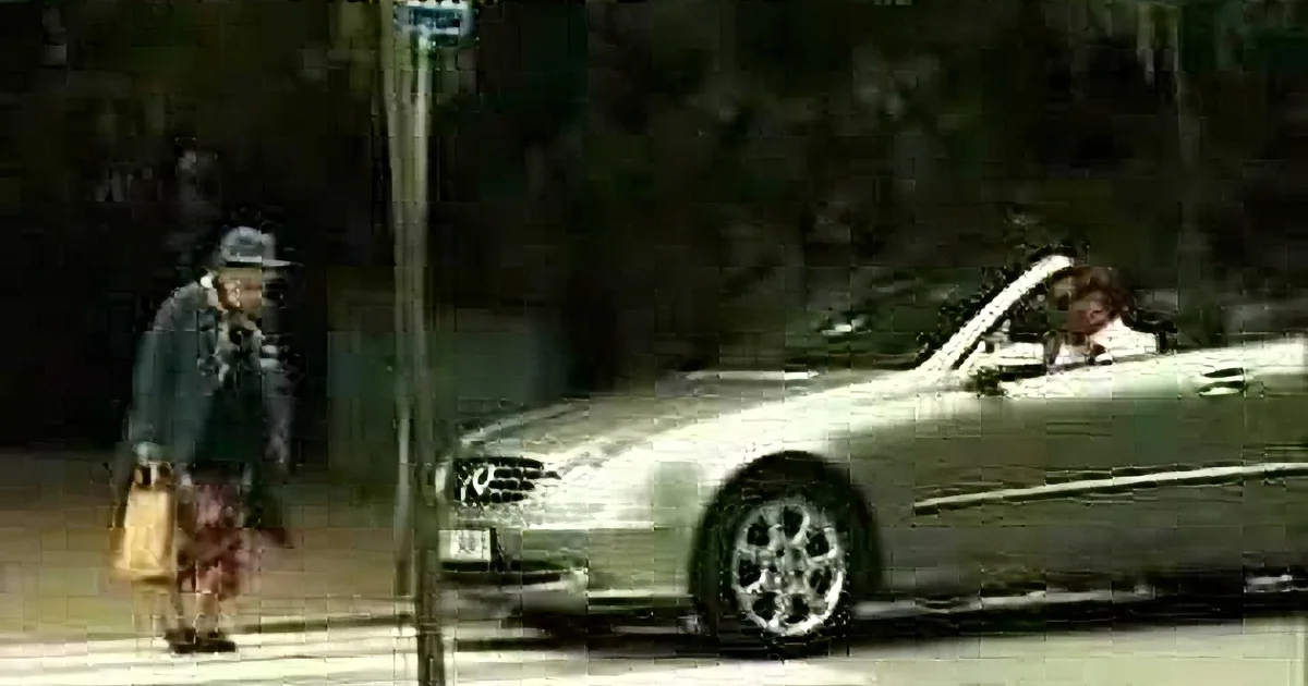 Grandma Was Crossing the Street When a Rude Driver Did This, but She Got Him Back