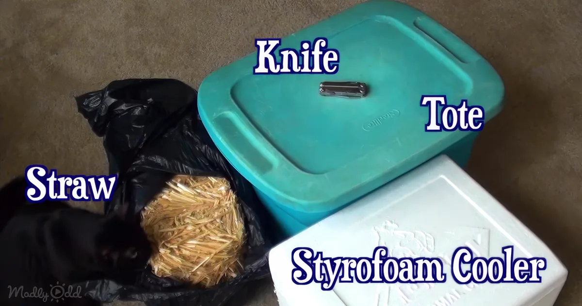 Cat Shelter DIY