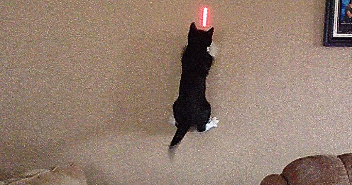 A black cat is leaping towards a red laser pointer light on the wall.