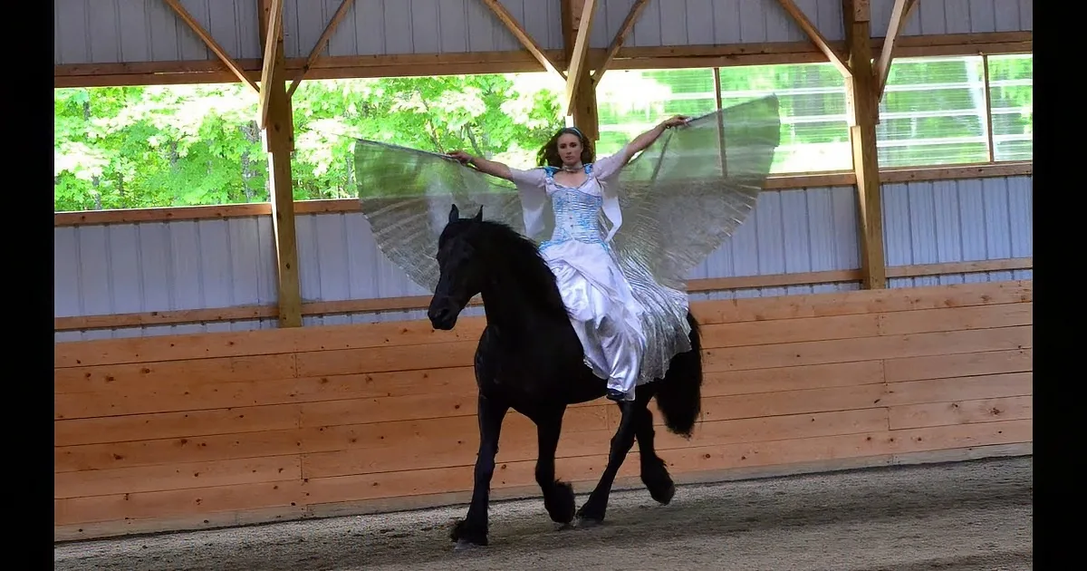 A person in a fairy costume rides a black horse in an indoor arena.