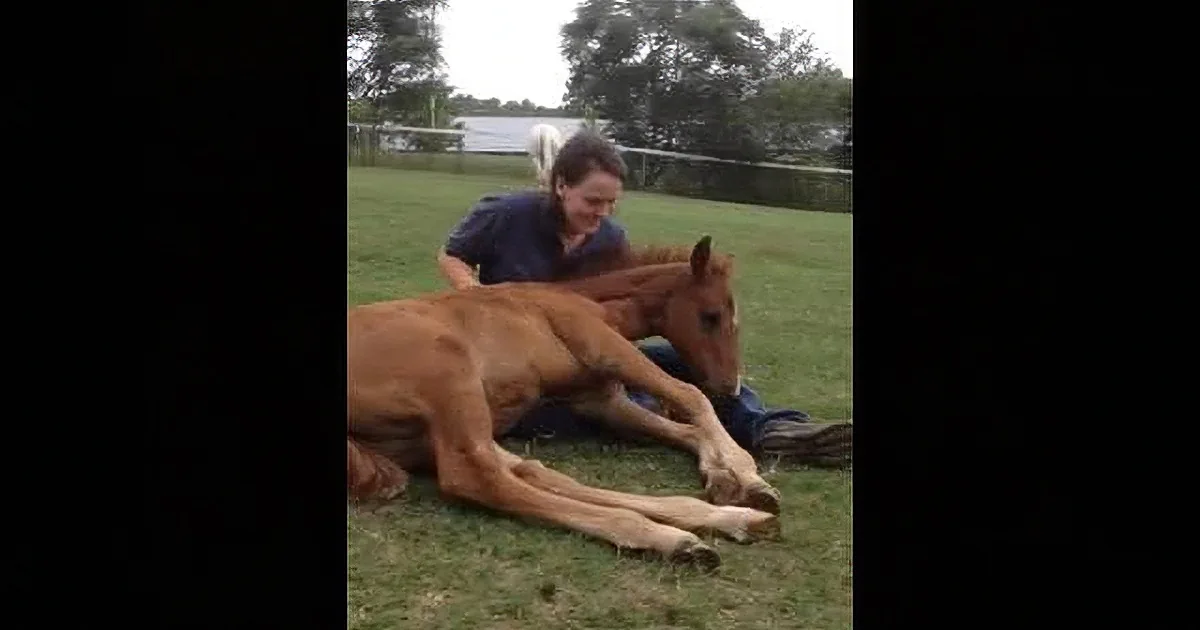 A woman sits on the grass, gently petting a small brown foal lying beside her.
