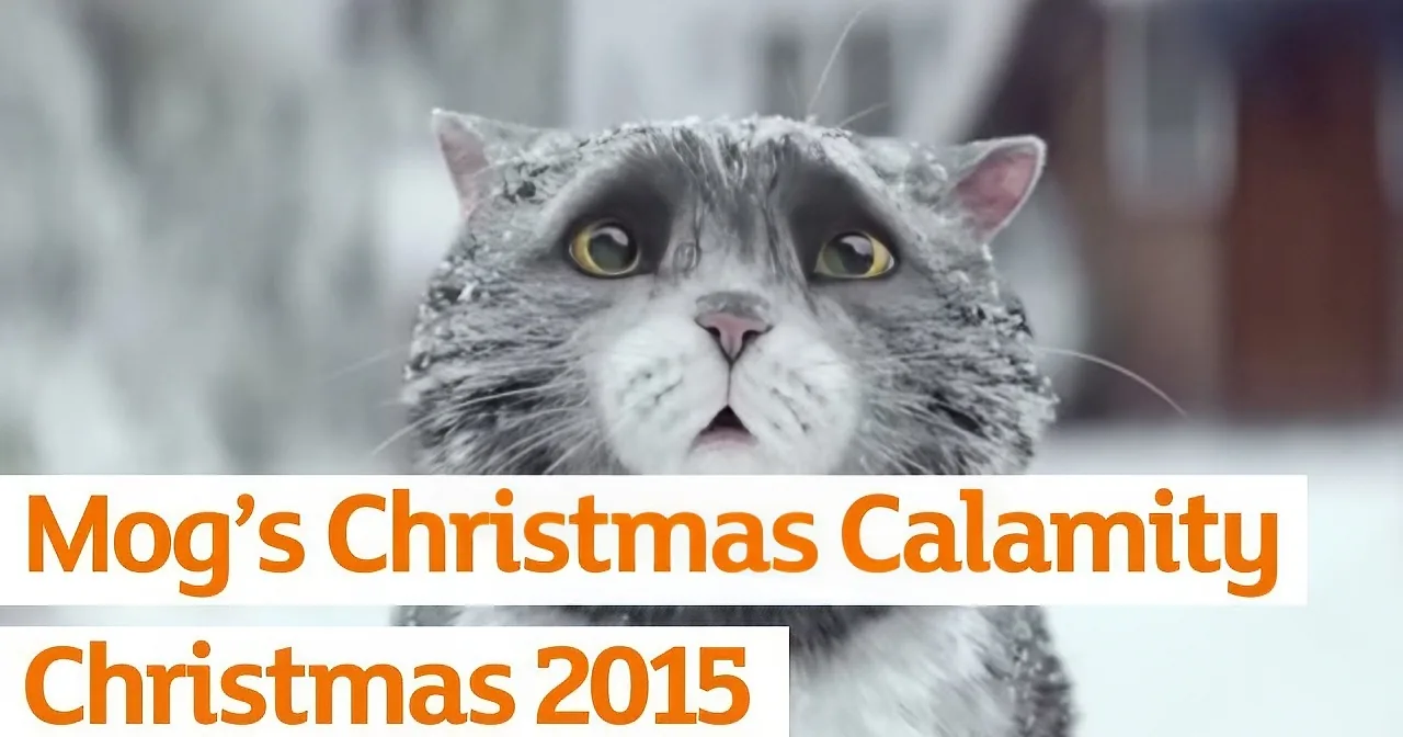 A gray cat with snow on its fur, looking up, with text overlay reading "Moa's Christmas Calamity Christmas 2015."