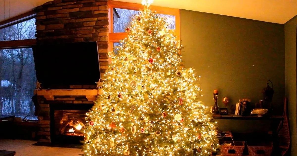 I Thought This Was a Regular Christmas Tree -- Until the Lights Went Off
