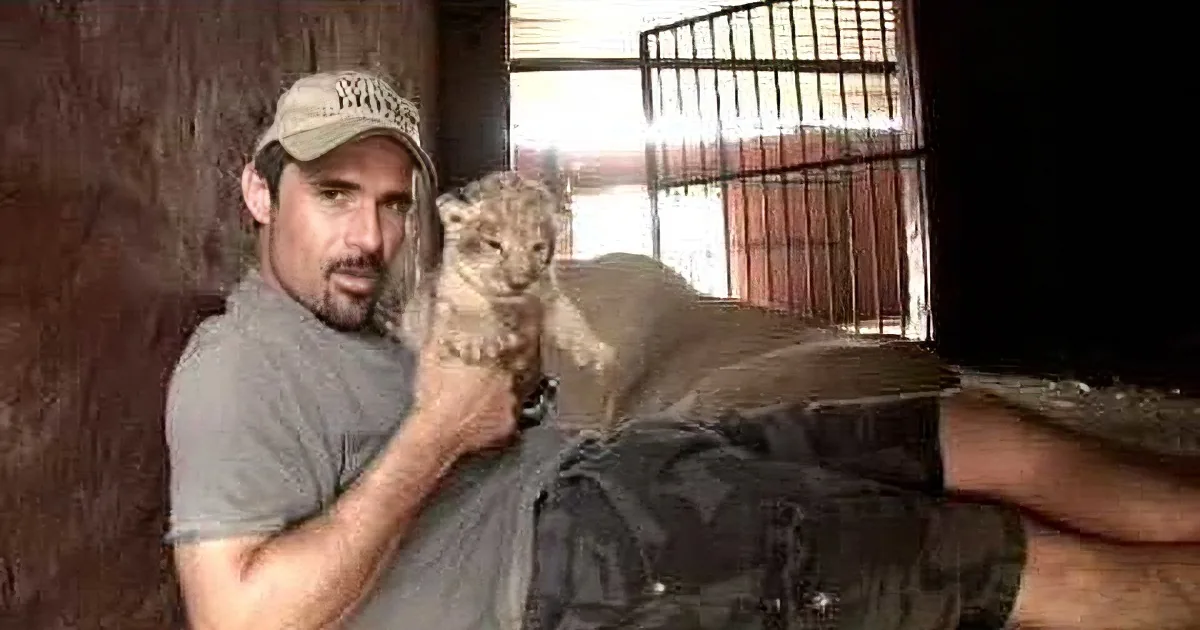 A man holds a baby lion cub in a dimly lit enclosure with a metal gate.