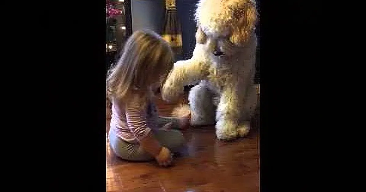 A young girl sits on the floor, interacting with a large, fluffy white dog.