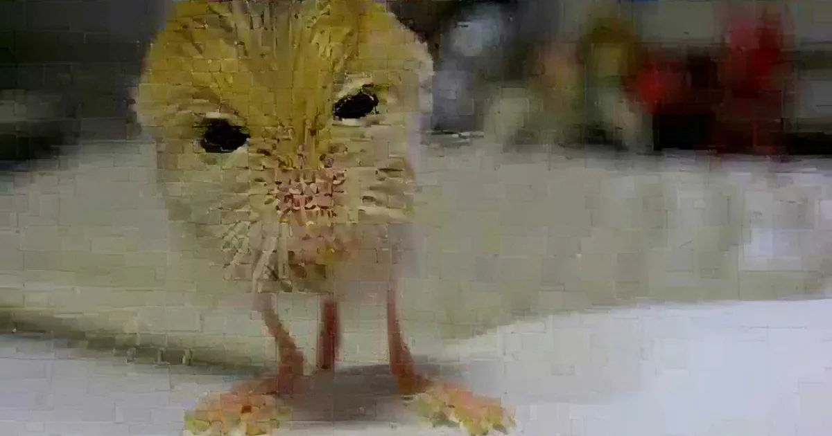 That Looks Like a Tiny Mouse, but Wait Till the Camera Zooms Out