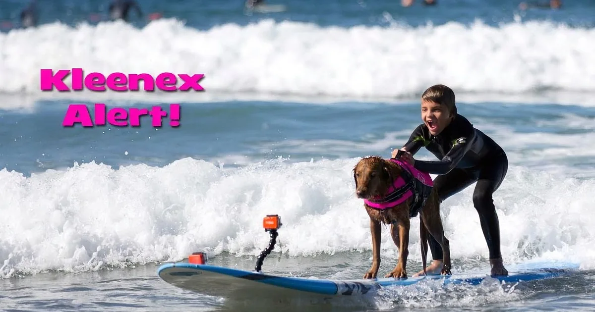 A boy and dog surf together on a blue board, with the ocean and other surfers in the background.