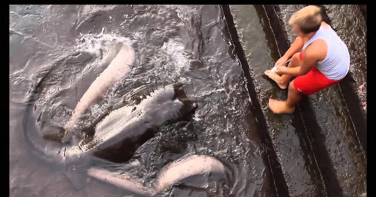 He''s Playing With His Special Friend, but When You See What It Is, It''ll Take Your Breath Away