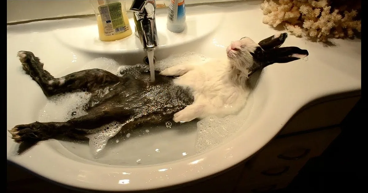 A cat is lounging in a sink filled with soapy water, appearing relaxed.