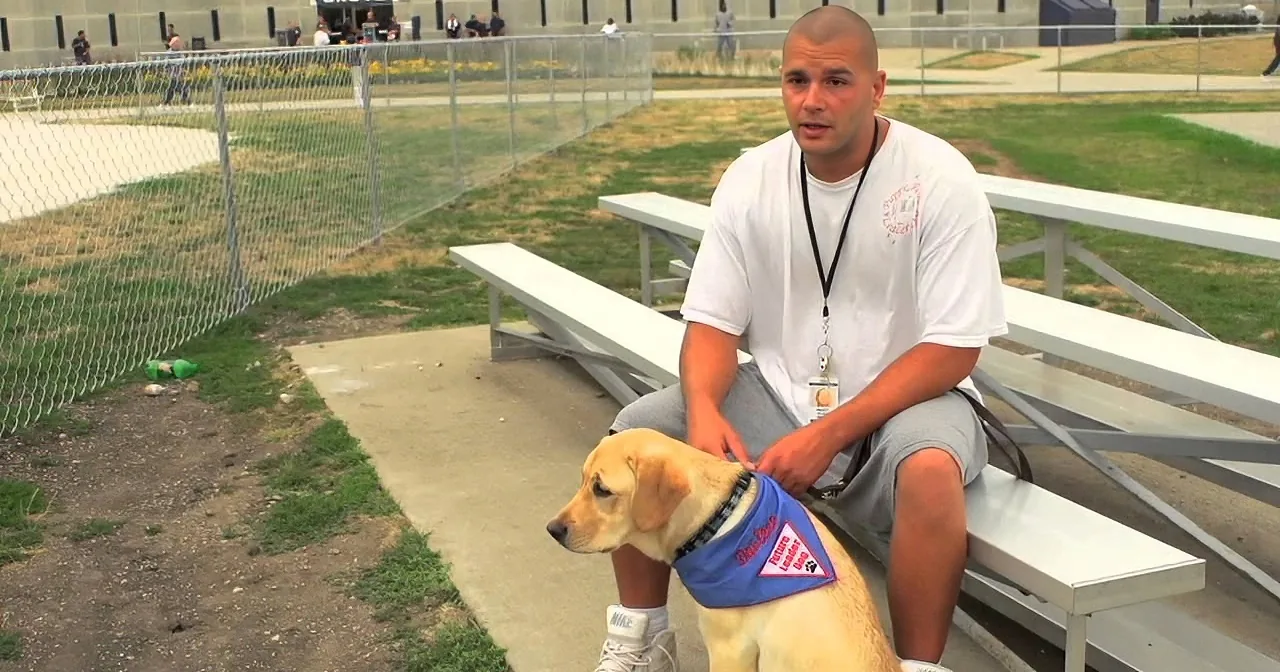 A man sits on bleachers with a yellow Labrador wearing a service dog vest.