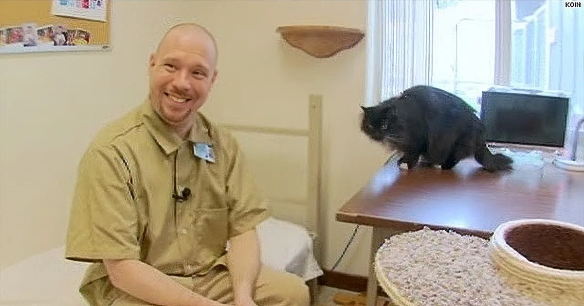 A man in a beige shirt smiles while a black cat perches on a table in the background.