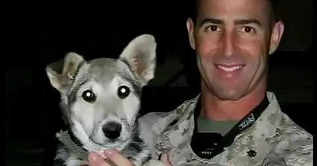 A person in military uniform holds a small, fluffy dog with big, expressive eyes.