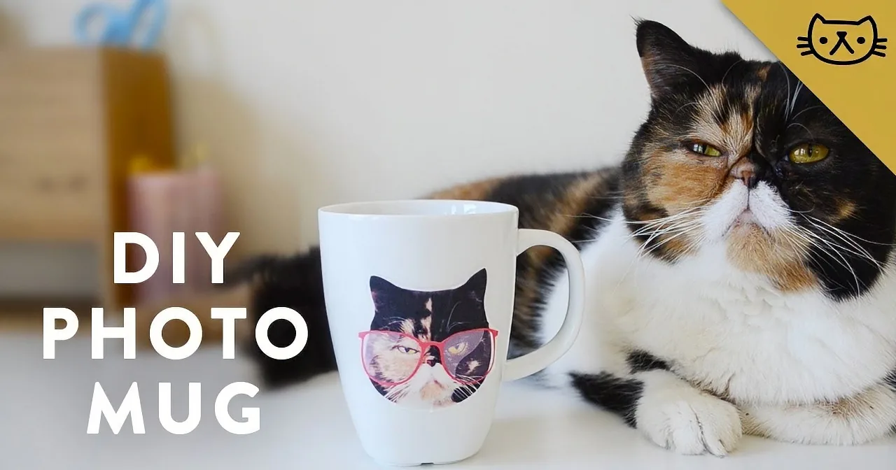 A cat lounges beside a mug featuring its own photo, with text overlay reading "DIY PHOTO MUG."