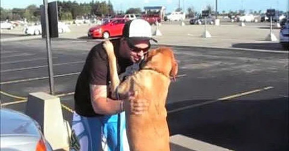American Soldier Reunites With Dog in the Most Adorable Way Possible