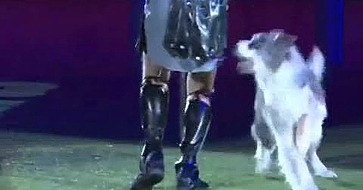 A person in a shiny outfit and boots walks on a stage with a small white dog beside them.