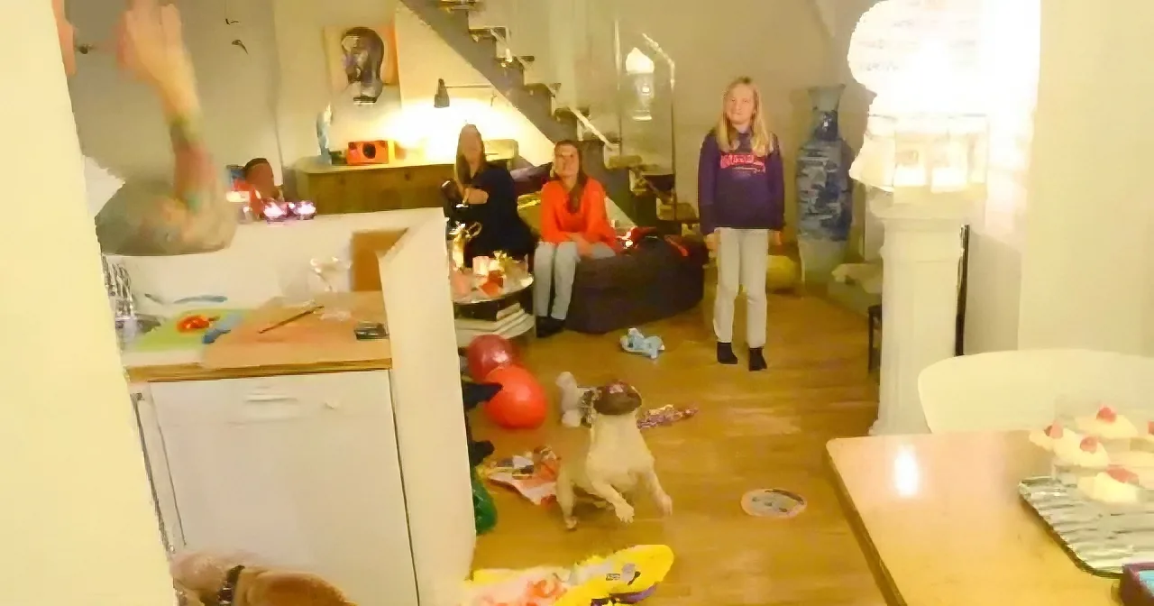 A dog sits amidst scattered toys and papers in a cluttered living room with people in the background.