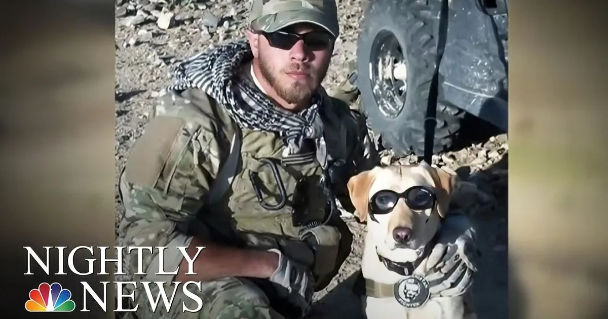 Nervous Soldier Is Waiting to Meet His Military Dog Once Again, but Watch When He Turns Around