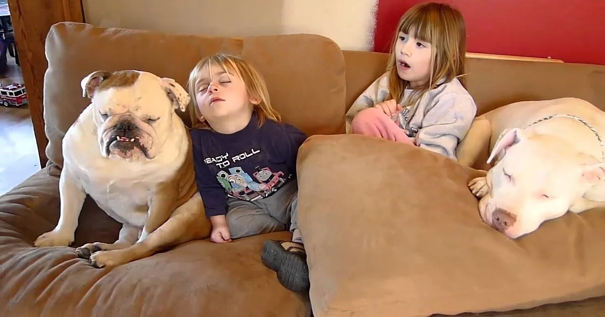 They Played Together All Day, but Now Watch How This Little Boy Falls Asleep With His Dog