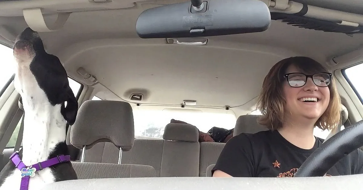 Dog Rides Silently in Her Owner''s Car Until She Hears Her Favorite Song on the Radio!