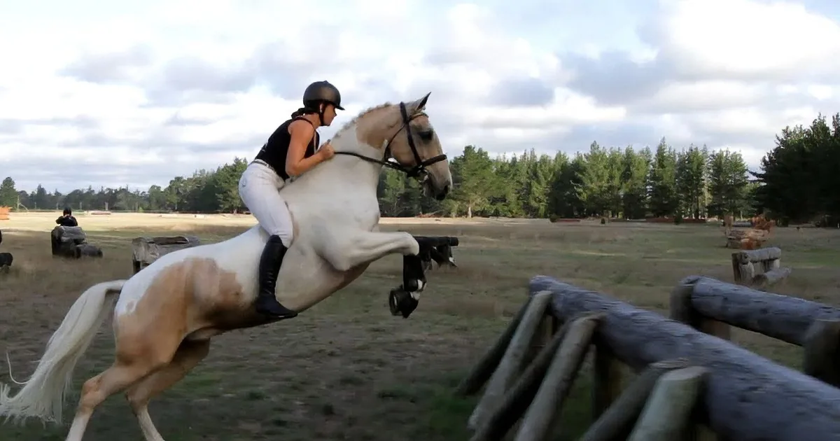 This Woman''s Ability to Ride and Train Horses Bareback Is Amazing! This Video Is Proof!
