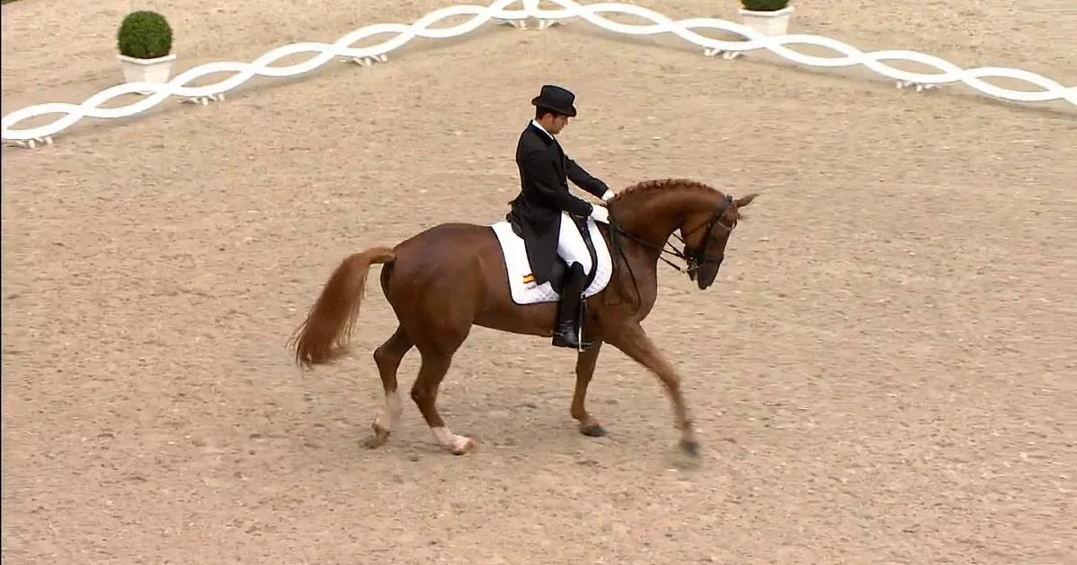 A rider in formal attire is riding a brown horse in a dressage competition arena.