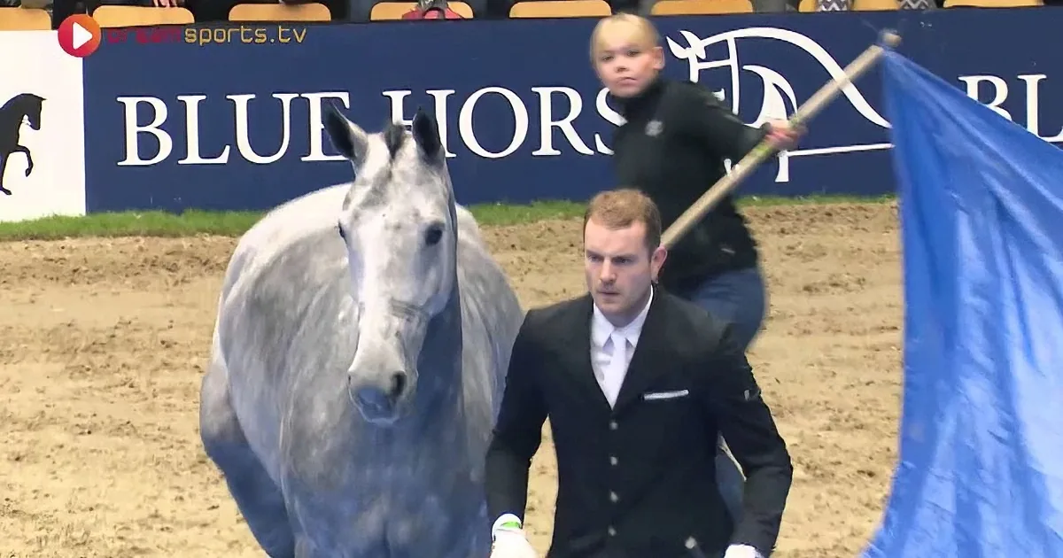 Jaw-Dropping Routine Shows the Unbelievable Bond This Trainer Shares With His Beautiful Horse