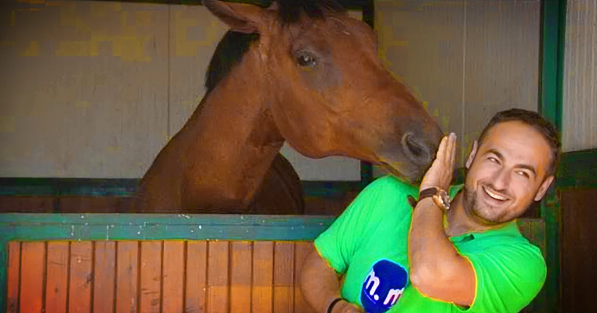 He Is Trying to Film a Report. Now Keep a Close Eye on That Silly Horse Behind Him...