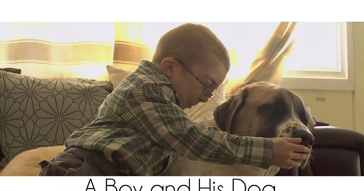 A boy in a plaid shirt hugs a large dog on a couch.
