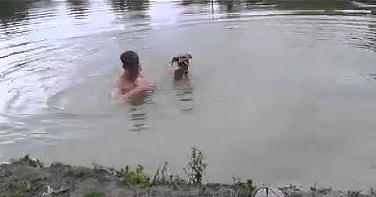 Human Pretends to Drown in Front of His Dog. but the Dog''s Response? I Can''t Believe My Eyes!