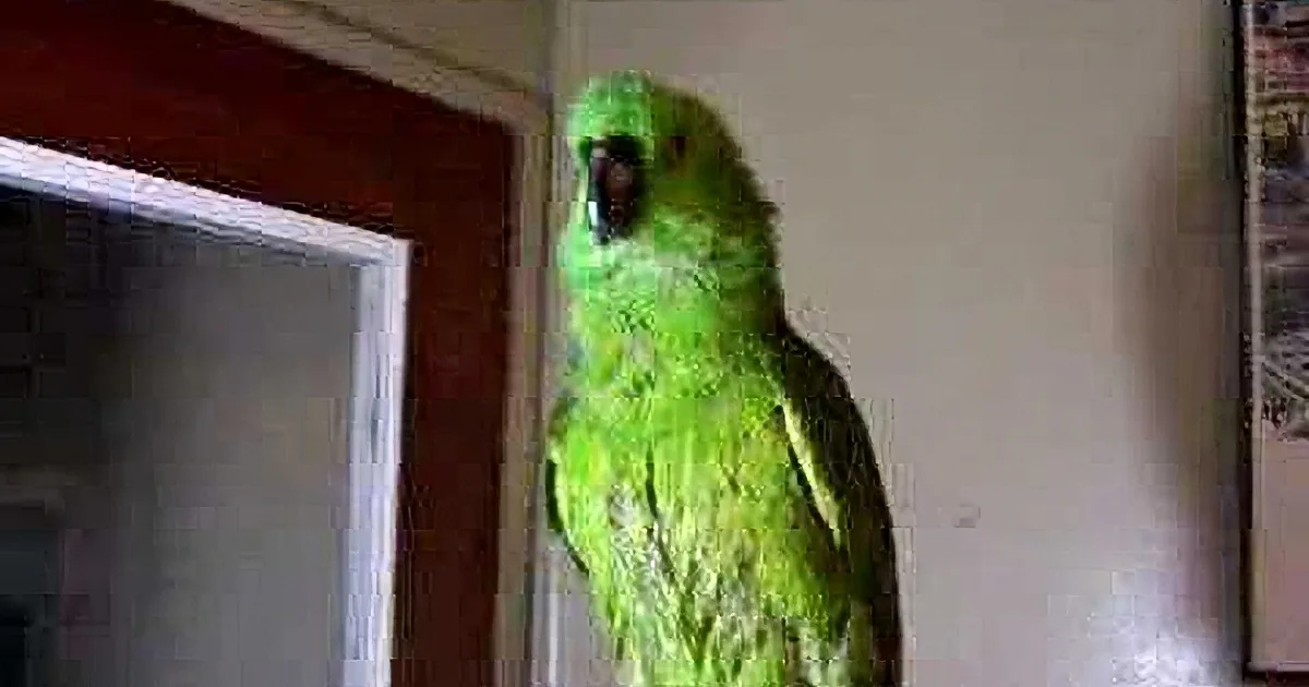 Mom Calls Her a Bad Bird. but What This Hilarious Parrot Said Next? You Won''t Believe Yourself!