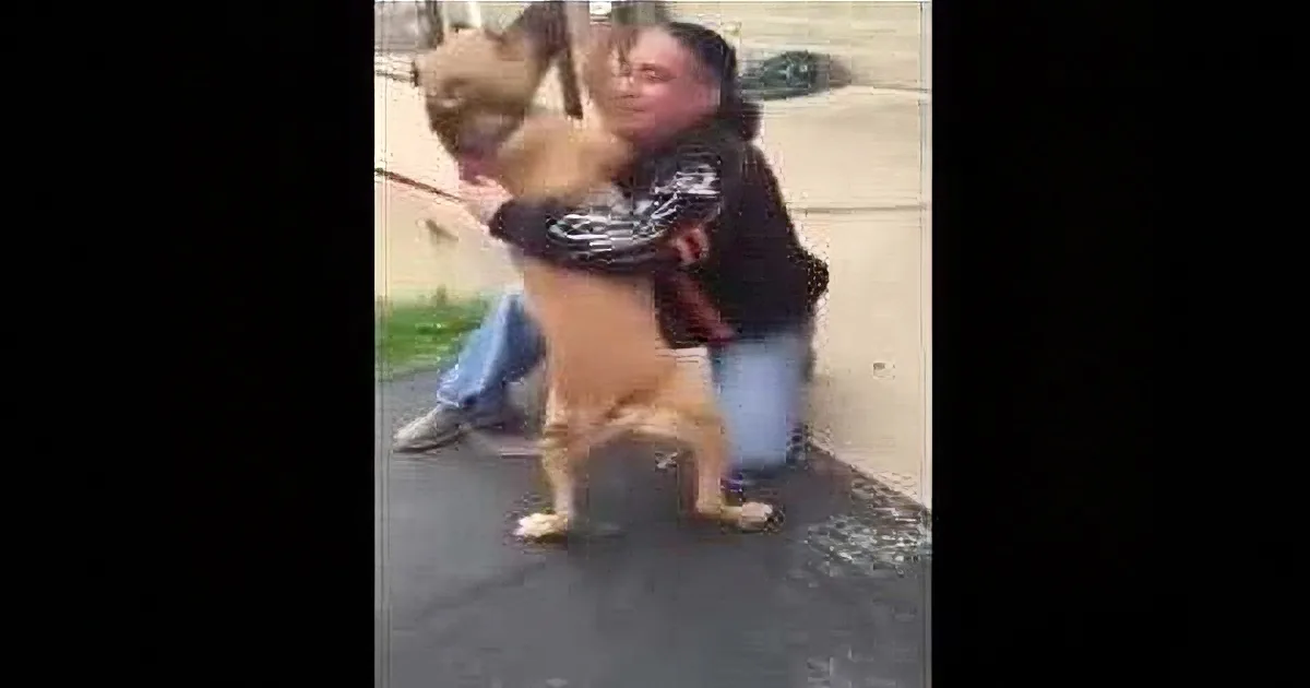 A man in a black hoodie holds a small dog on a leash, both kneeling on a paved surface.