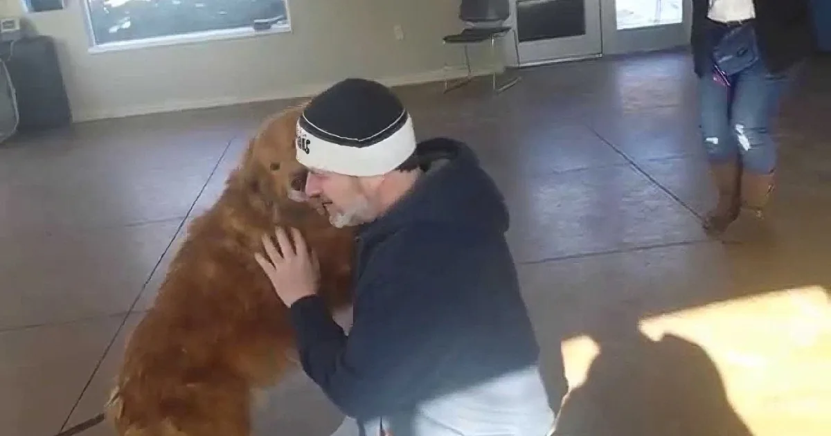 A man in a black shirt and white headband is hugging a large brown dog in a room with tiled floors and a sliding glass door.