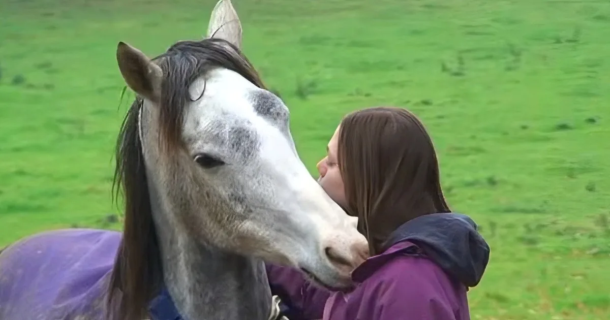 This Horse Hasn''t Seen His Mom in 3 Weeks. His Reaction When He Sees Her Again? Priceless