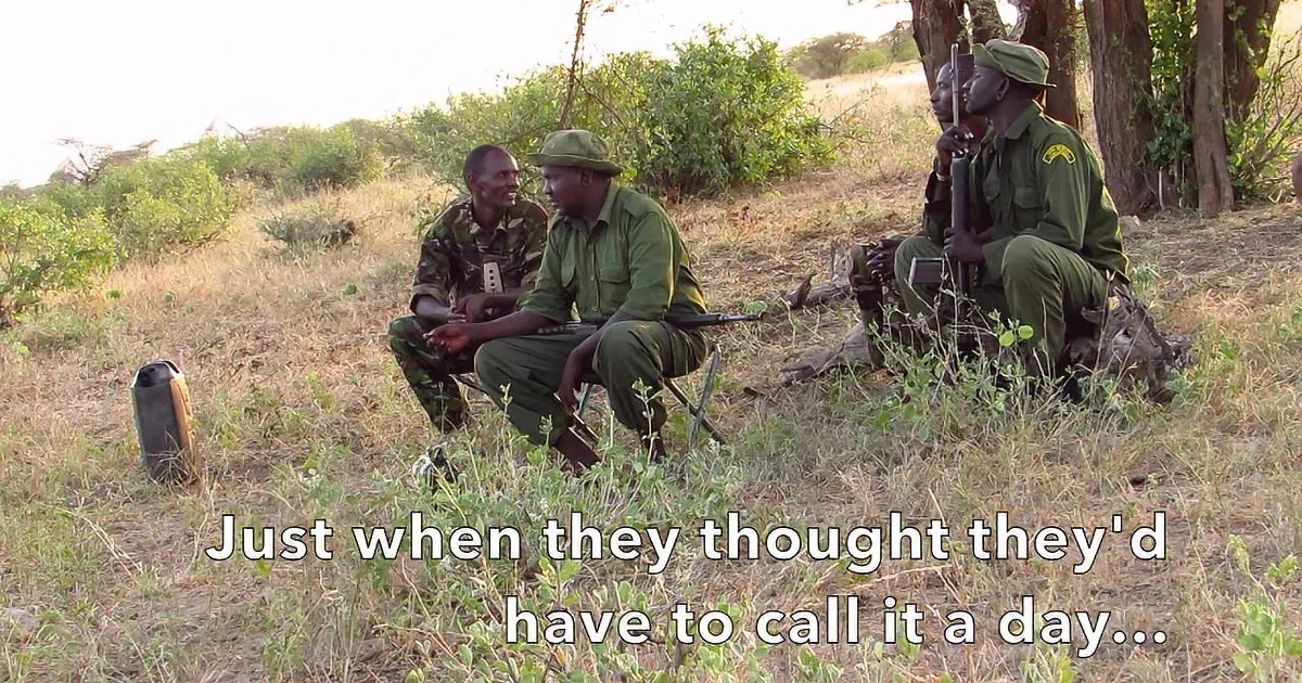 Kind Humans Babysit a Baby Elephant, but Watch What Happens Next! so Heartwarming!