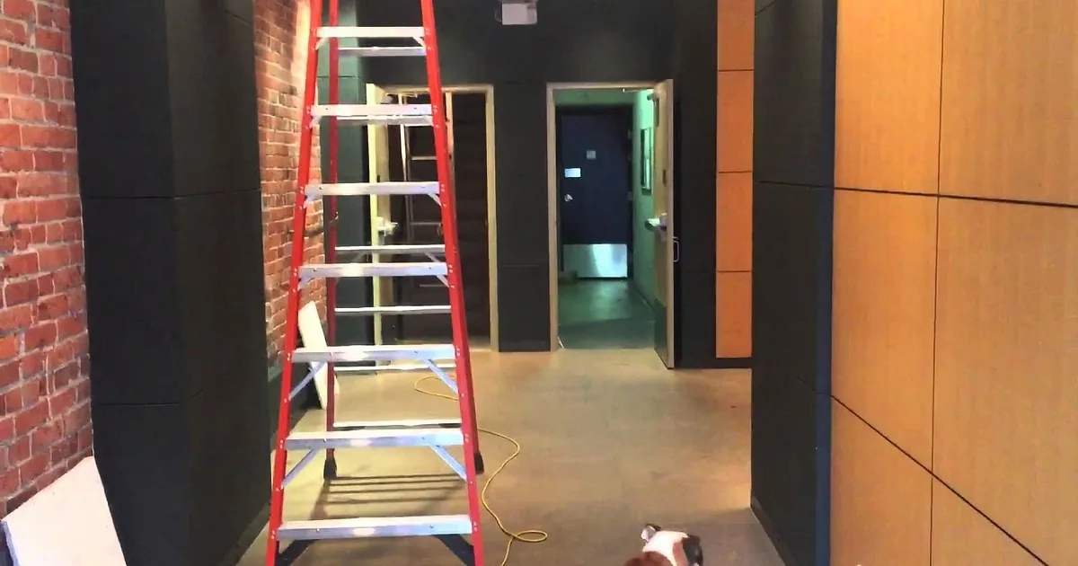 Bulldog Is Terrified to Cross Over That Cable. but Wait Till You See His Brilliant Plan! Rofl!