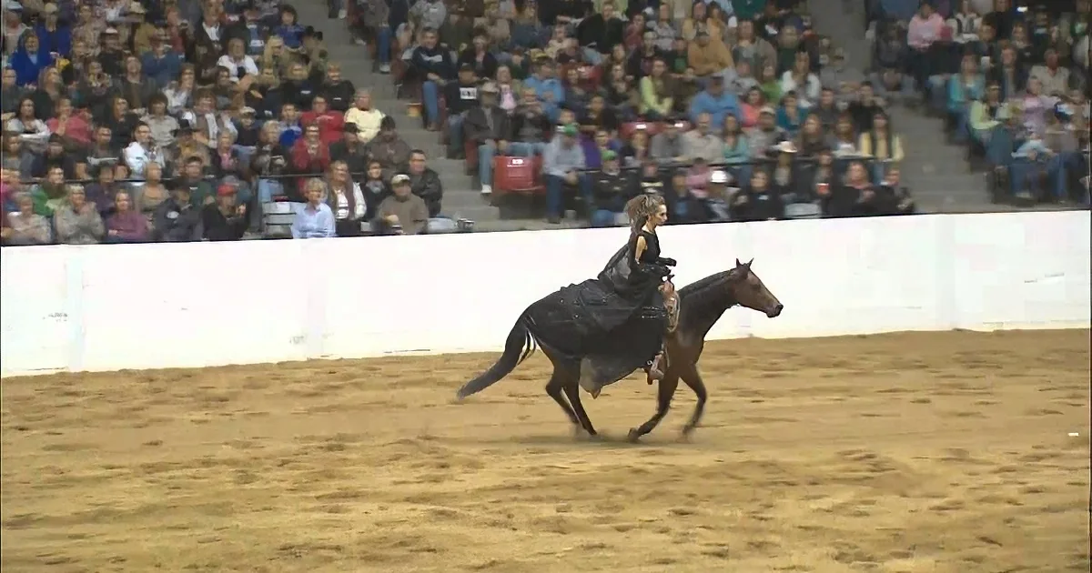 Woman Rides a Horse Without Bridles. Now Pay Close Attention When She Does This Move! Unbelievable!
