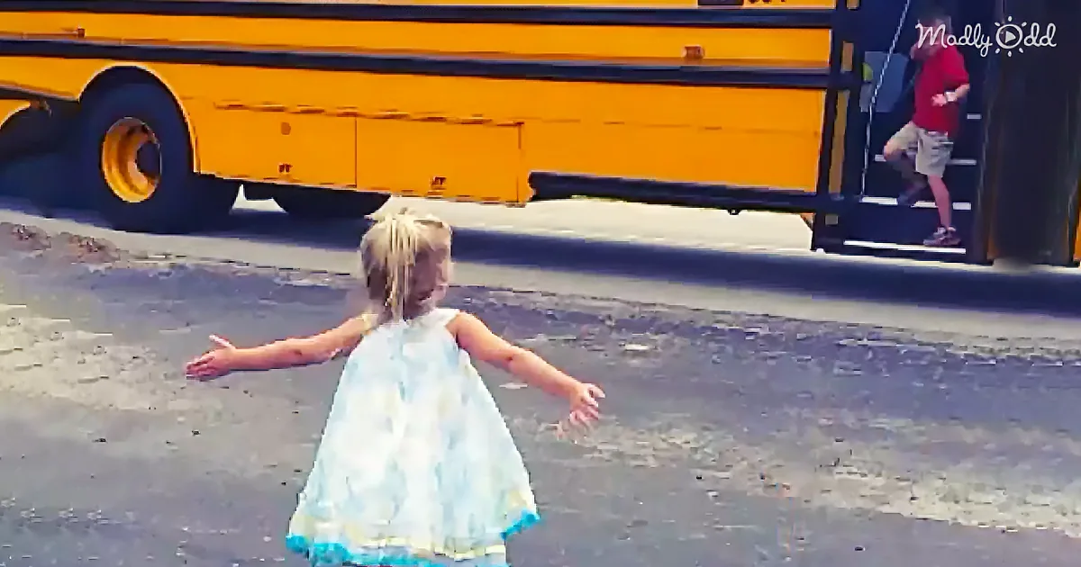 Every Time the School Bus Drops Him Home, His Little Sister Runs Right up to Him for a Huge Hug