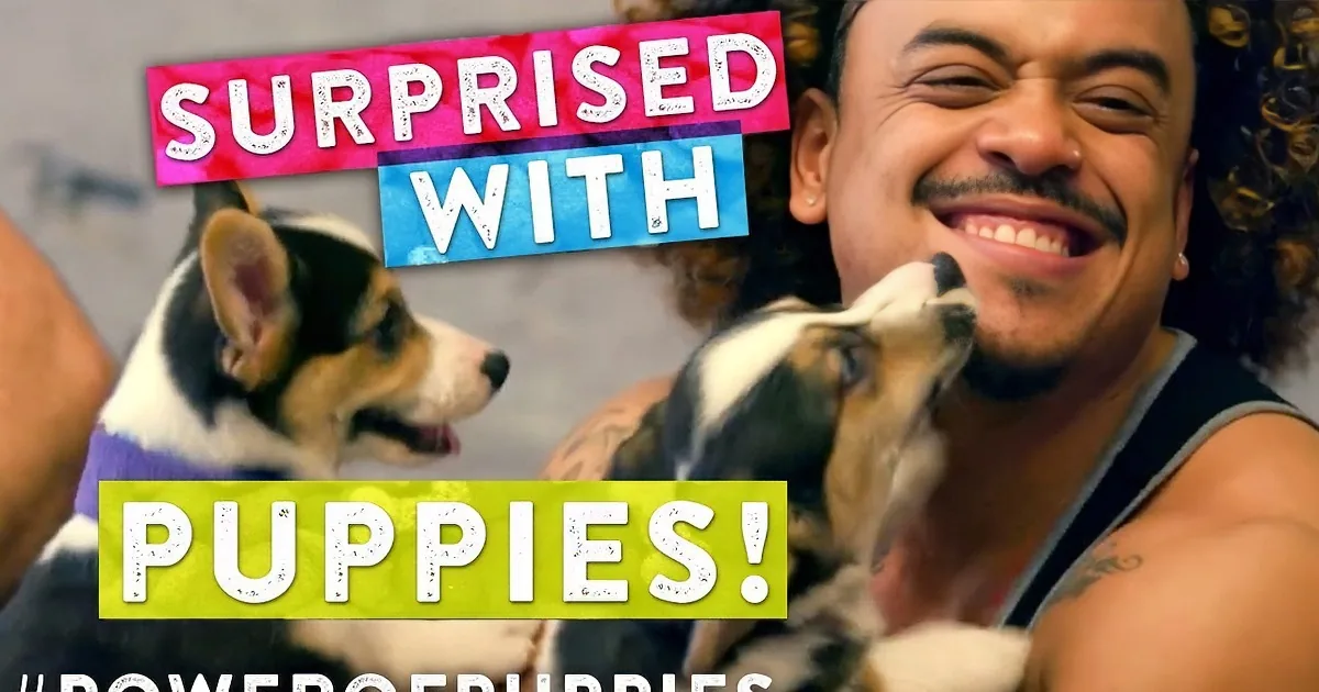 Every Time This Clip Is Viewed One Pound of Dog Food Goes to a Helpless Shelter