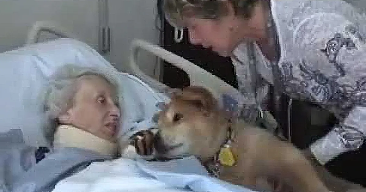 Owner Carries Her Service Dog to This Dying Woman''s Bed. What Happens Then? I''m in Tears.