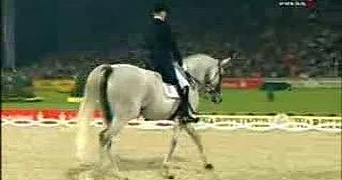 A rider in black attire guides a white horse in a dressage competition, showcasing precise movements on a sandy arena.