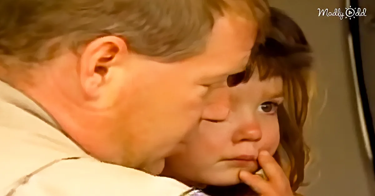 3-Year-Old Lost in the Woods for 15 Hrs, Survived With Help From Her Beloved Dog