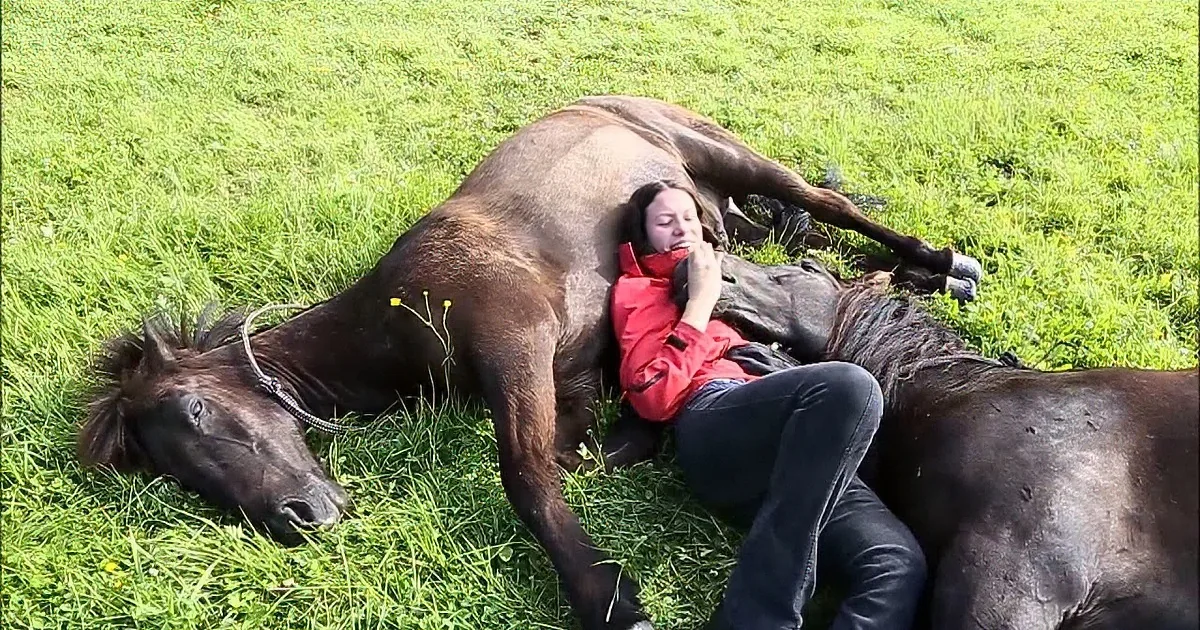 A woman in a red jacket lies on a grassy field, cuddling with a dark horse.