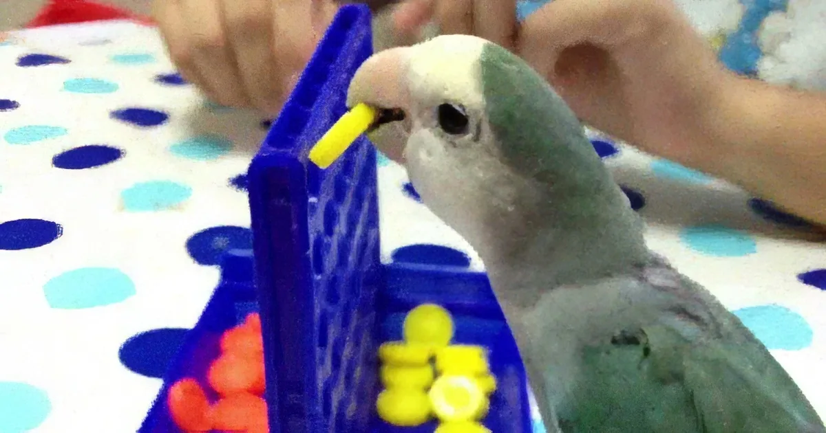 Bird Sees a Tiny Cardboard in Front of Him. but When He Did This Next, I Lost It! OMG!