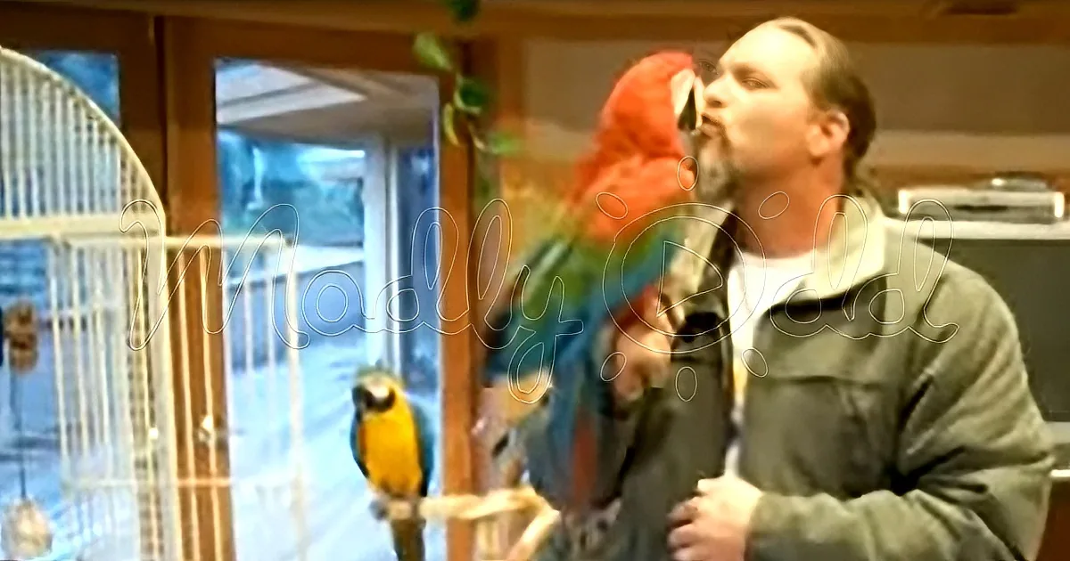 This Clever MacAw Has a Flair for the Dramatic - Death Scenes Are His Forte