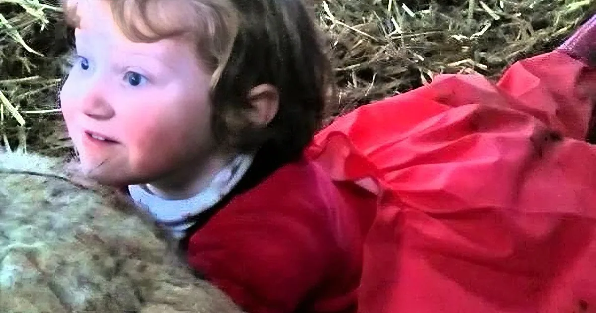 A child in a red outfit is lying on hay, looking surprised or startled.