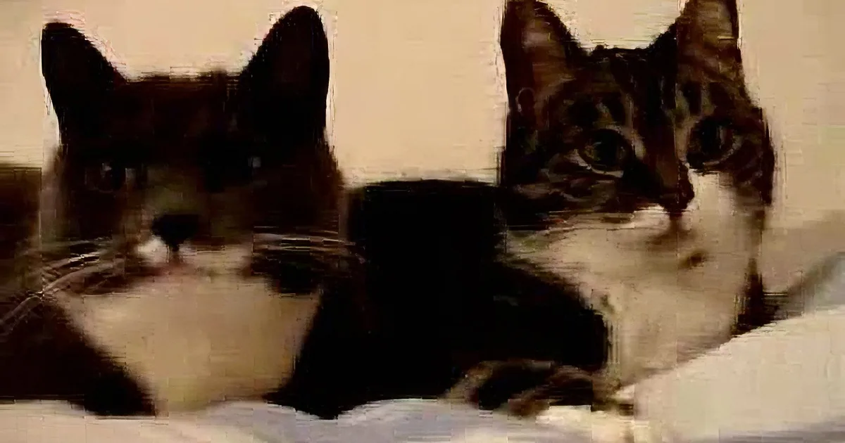 Two cats, one black and white, the other gray and white, are lying on a bed, looking at the camera.