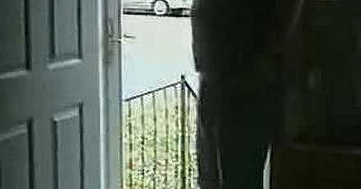 Dad Removed the Glass Screen From the Door. but When His Dog Wants to Go Outside? Rofl!