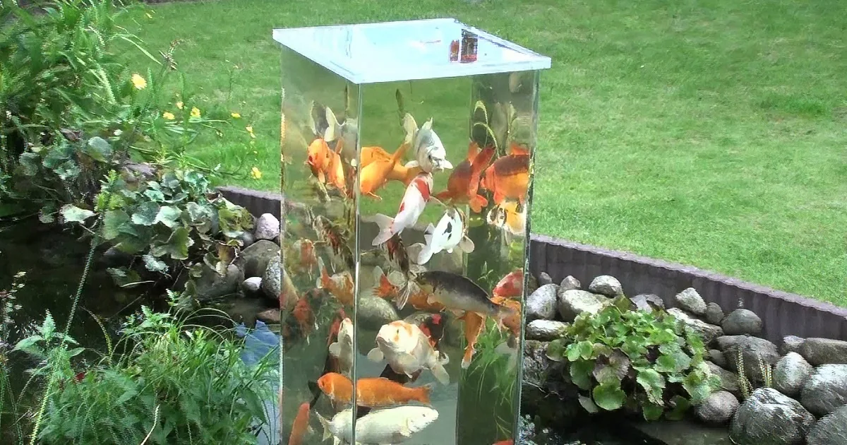 He Put This in the Middle of His Pond. but Keep a Close Eye on What Those Fishes Do Next! OMG!