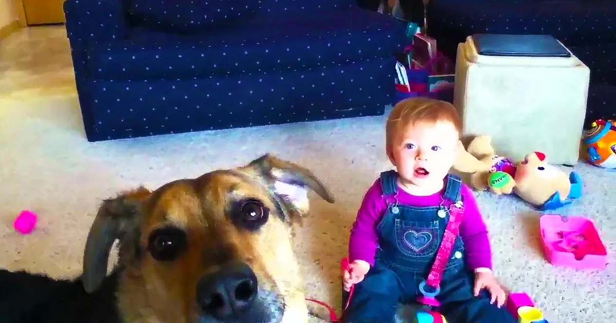 A curious baby in overalls sits on the floor next to a dog, surrounded by toys and a blue polka-dot couch.