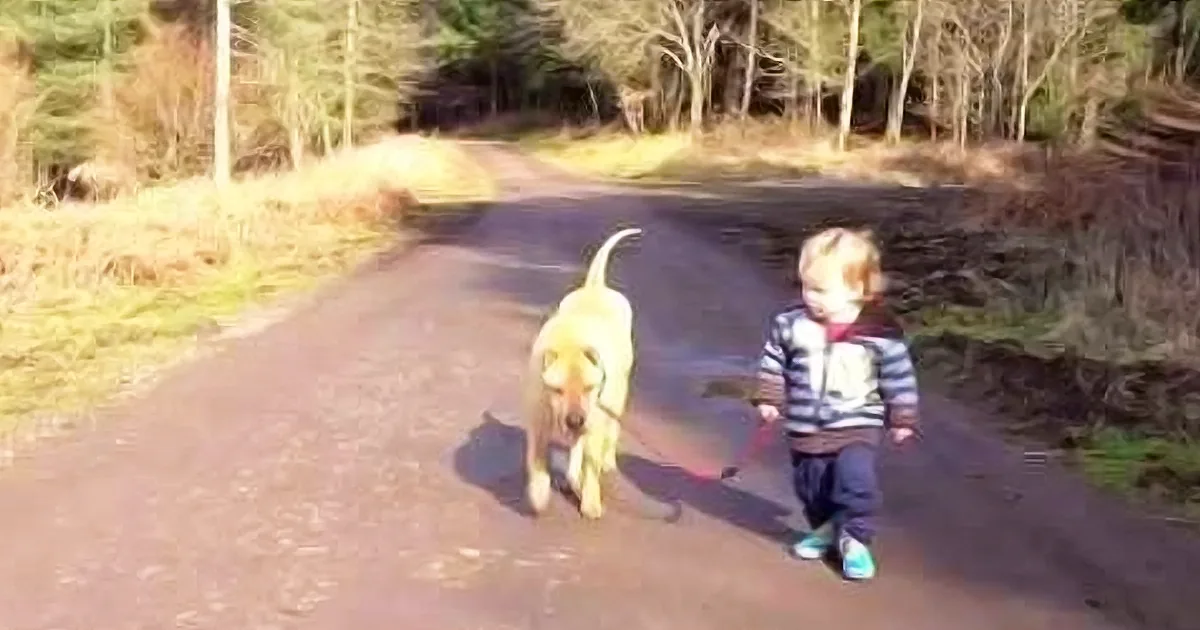 This Toddler Jumps in a Puddle, but Wait Till You See What His Dog Does! so Sweet!
